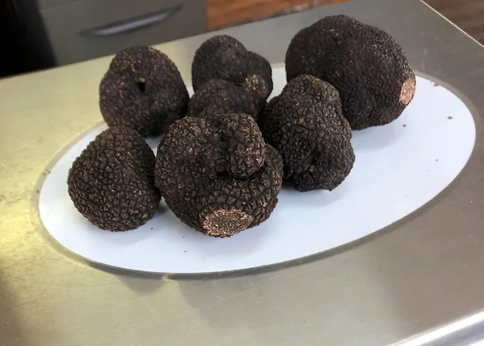 Le Brissonneau فندق مبيت وإفطار 3*