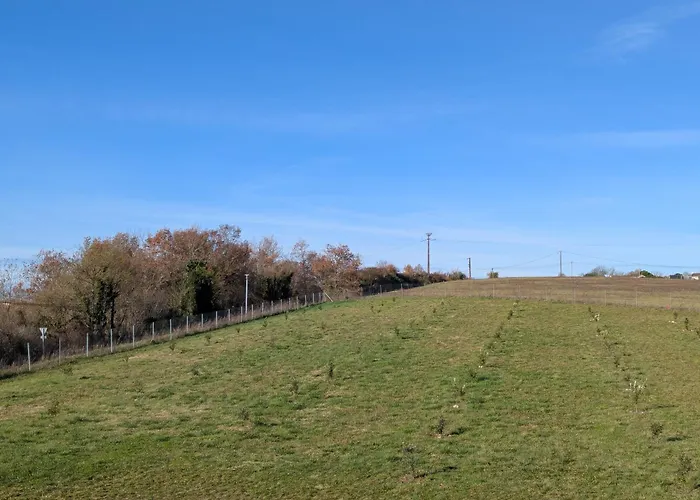 Le Brissonneau Saint-Saturnin (Charente)